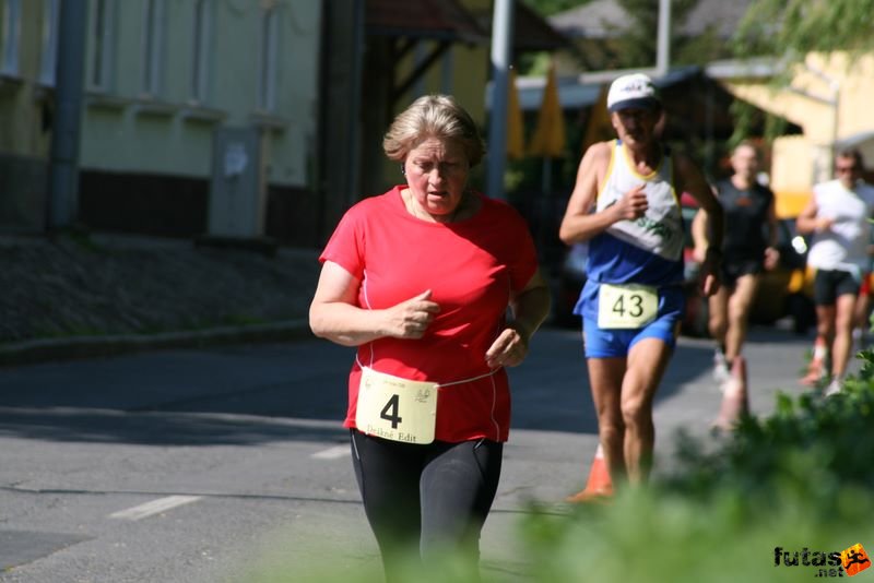 Sárvár futás és ultra futás sarvar_runners_8603.jpg Deákné Edit