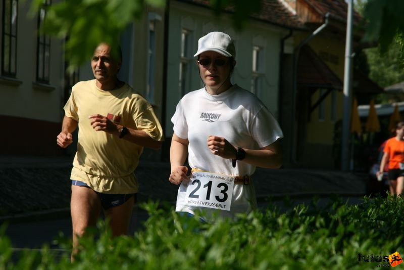 Sárvár futás és ultra futás sarvar_runners_8615.jpg sarvar_runners_8615.jpg