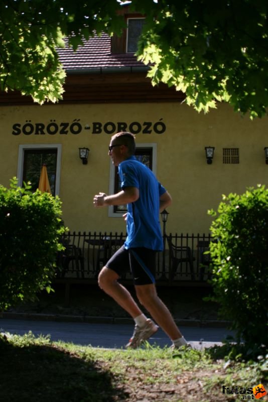 Sárvár futás és ultra futás sarvar_runners_8629.jpg Blue a söröző borozó előtt fut el