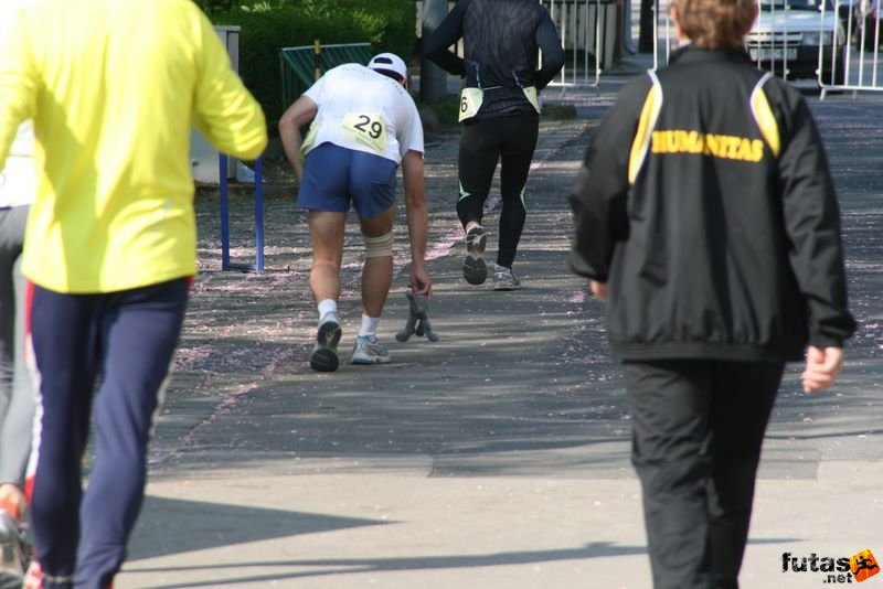 Sárvár 24 órás futók ultrafutás ultra_runners_9110.jpg fut a macska