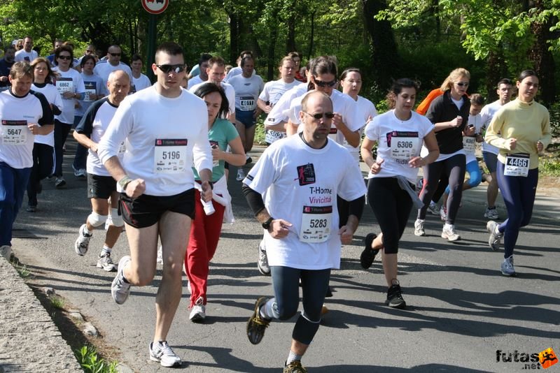 Vivicittá futás Budapest midicitta 7274.jpg midicitta_7274.jpg