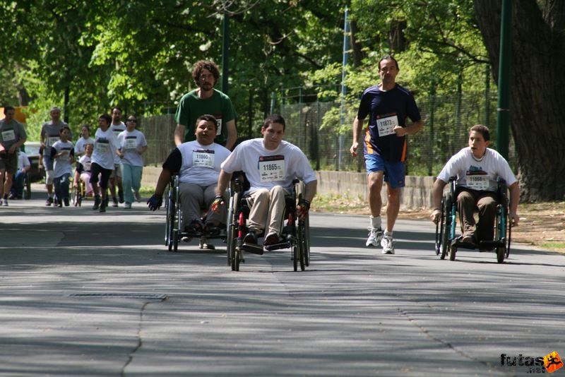 Vivicittá futás Budapest minicitta_7606.jpg minicitta_7606.jpg