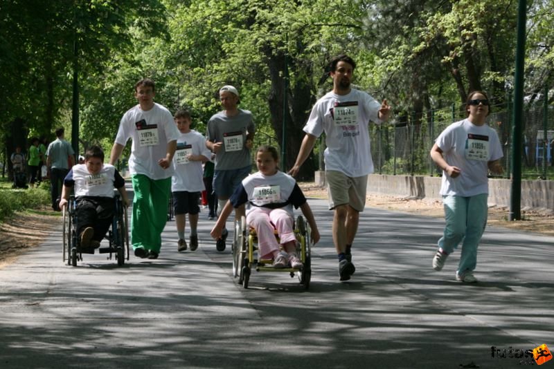 Vivicittá futás Budapest minicitta_7610.jpg minicitta_7610.jpg