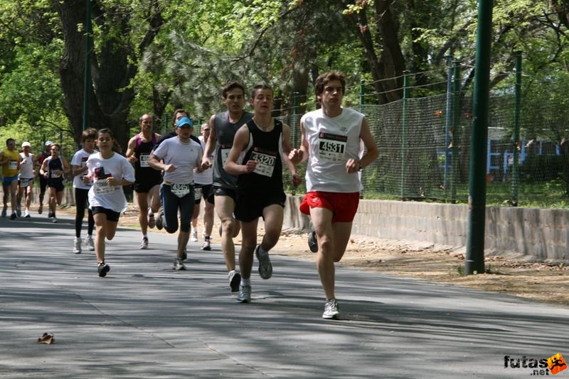 Vivicittá futás Budapest minicitta_7619.jpg minicitta_7619.jpg