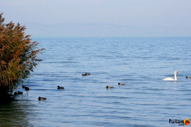 Balaton Maraton harmad maraton Siófok Balaton Balaton Maraton 1/3 marathon futás Siófok, Balaton