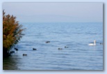 Balaton Maraton 1/3 marathon futás Siófok Balaton