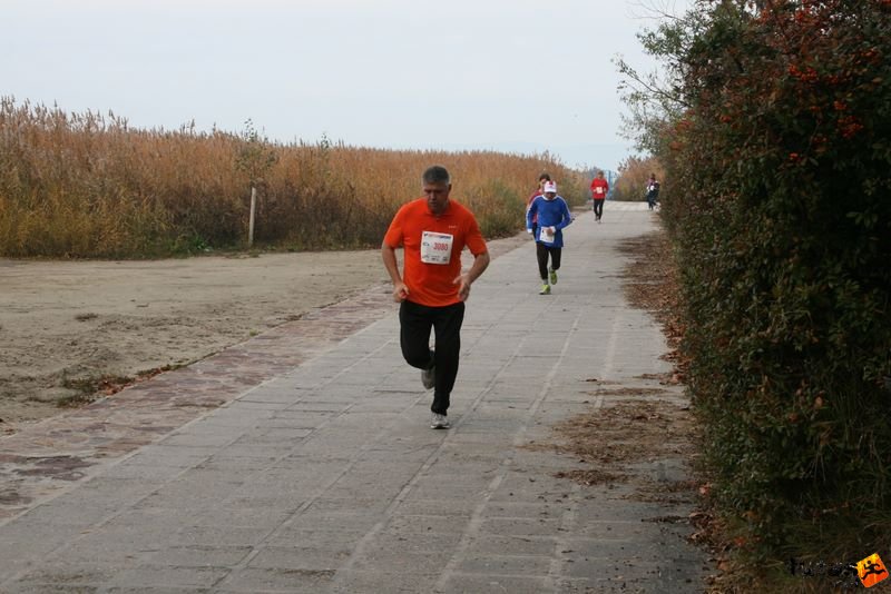 Balaton Maraton harmad maraton Siófok Rác Hunor Balaton Maraton 1/3 marathon futás Siófok, Rác Hunor