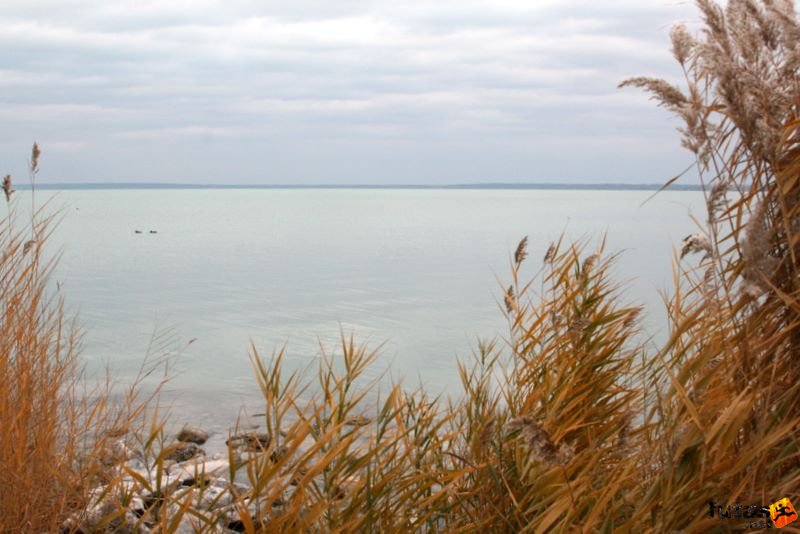 Balaton Maraton harmad maraton Siófok Balaton Balaton Maraton Intersport futóverseny Siófok, Balaton