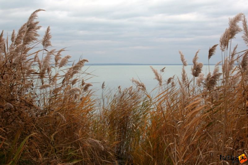 Balaton Maraton harmad maraton Siófok Balaton Nádas Balaton Maraton Intersport futóverseny Siófok, Balaton Nádas