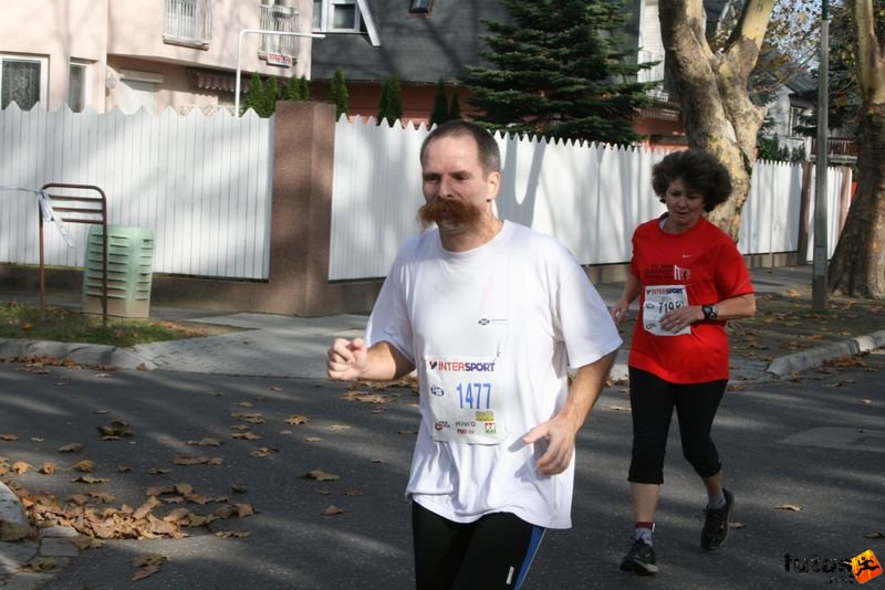 Balaton Maraton félmaraton Siófok Ujvári Gábor Balaton Maraton futók félmaraton Siófok, Ujvári Gábor