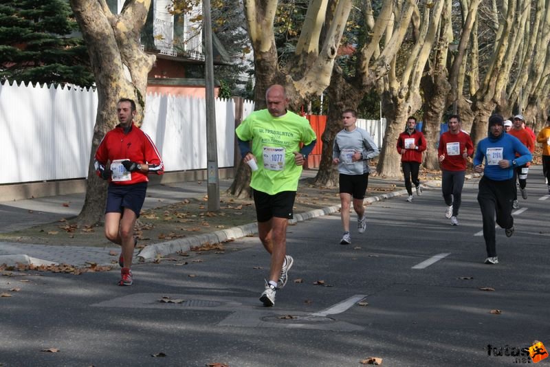Balaton Maraton félmaraton Siófok balaton_maraton_siofok_8713.jpg Balaton Maraton futók félmaraton Siófok, balaton_maraton_siofok_8713.jpg