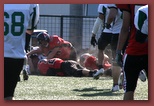 Budapest Wolves Juniors American Football Club budapest_wolves_american_football_club_2599.jpg