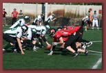Budapest Wolves Juniors American Football Club budapest_wolves_american_football_club_2621.jpg
