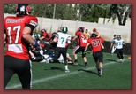 Budapest Wolves Juniors American Football Club budapest_wolves_american_football_club_2626.jpg