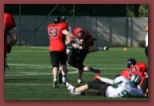 Budapest Wolves Juniors American Football Club budapest_wolves_american_football_club_2651.jpg