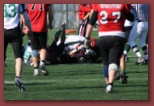 Budapest Wolves Juniors American Football Club budapest_wolves_american_football_club_2652.jpg