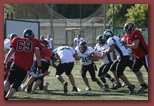 Budapest Wolves Juniors American Football Club budapest_wolves_american_football_club_2653.jpg