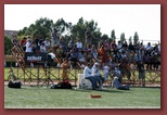 Budapest Wolves Juniors American Football Club budapest_wolves_american_football_club_2737.jpg