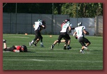 Budapest Wolves Juniors American Football Club budapest_wolves_american_football_club_2741.jpg