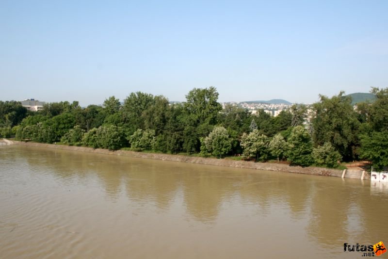 Duna áradása Budapesten img_4564.jpg Margitsziget Duna áradása Budapesten, img_4564.jpg, Margitsziget