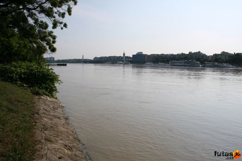 Duna áradása Budapesten img_4580.jpg Duna a Margit-szigetnél Duna áradása Budapesten, img_4580.jpg, Duna a Margit-szigetnél