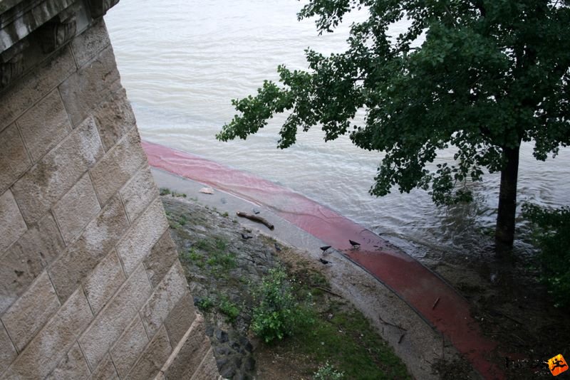 Duna áradása Budapesten, img_4627.jpg, Duna a margitszigeti futópályán