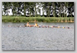 Fadd-Dombori Triatlon fadd_dombori_triatlon_550.jpg