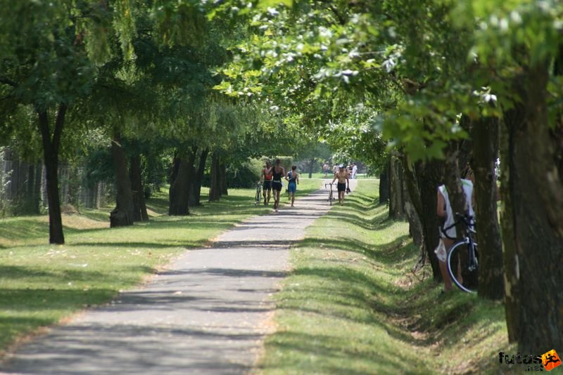 Tisza-tó Triatlon Fesztivál, Kisköre Triatlon, kiskore_triatlon_648.jpg Triatlon futás