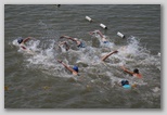 Tisza-tó Triatlon Fesztivál, Kisköre Triatlon kiskore_triatlon_529.jpg
