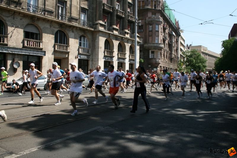 K&H Olimpiai Maraton és félmaraton váltó futás Budapest képek 1. fotók maraton_0900.jpg maraton_0900.jpg