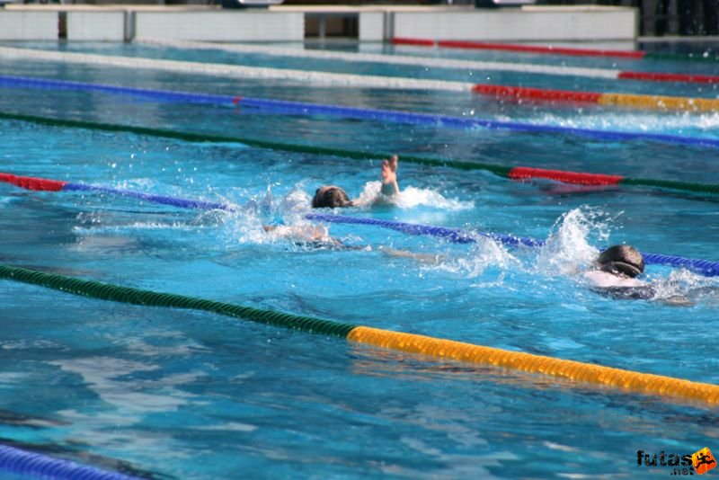 Margitszigeti Triatlon Úszás Széchy Tamás uszoda margitszigeti_triatlon_szechy_tamas__uszoda_9672.jpg margitszigeti_triatlon_szechy_tamas__uszoda_9672.jpg