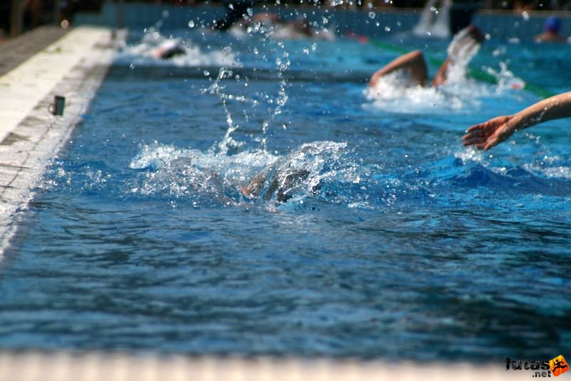Margitszigeti Triatlon margitszigeti_triatlon_szechy_tamas__uszoda_9733.jpg fröccsen a víz Margitszigeti Triatlon Úszás Széchy Tamás uszoda margitszigeti_triatlon_szechy_tamas__uszoda_9733.jpg fröccsen a víz