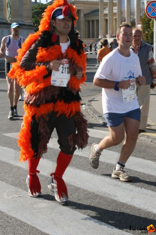 Spar Budapest Maraton futás 2009 Horkay Zsolt, Kőszeg, Kuti Zsolt Buda Fitness Spar Budapest Maraton futás 2009, Horkay Zsolt, Kőszeg, Kuti Zsolt Buda Fitness