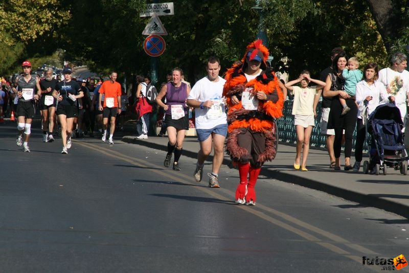 Spar Budapest Maraton futás 2009 spar_budapest_marathon_4646.jpg Spar Budapest Maraton futás 2009, spar_budapest_marathon_4646.jpg