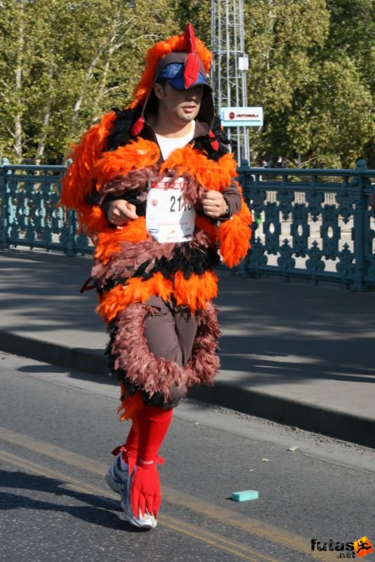 Spar Budapest Maraton futás 2009 Horkay Zsolt Spar Budapest Maraton futás 2009, Horkay Zsolt