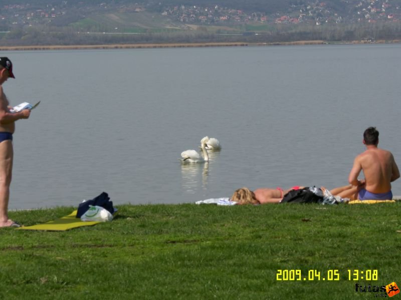 Tókerülő Futás tokerulo_futas_392.jpg tokerulo_futas_392 futók