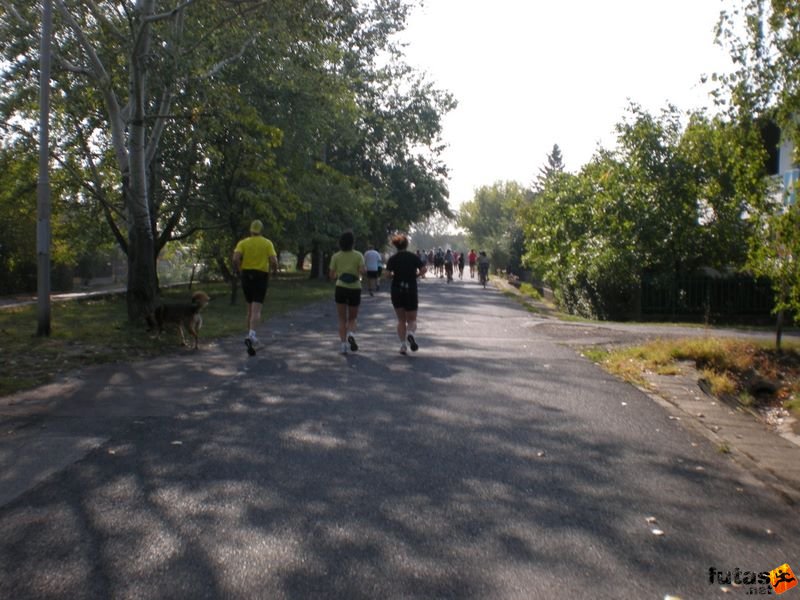 Velencei-tó kör futás velencei_to_kor_futas_2434.jpg Velencei-tó kör futás, velencei_to_kor_futas_2434.jpg