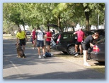 Velencei-tó kör futás velencei_to_kor_futas_2354.jpg