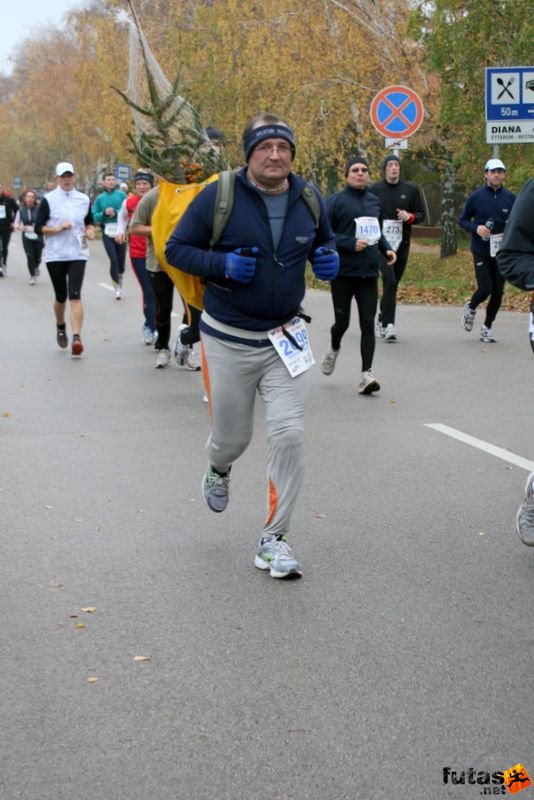 Balaton Félmaraton Balaton Maraton futóverseny, futás fenyőfával