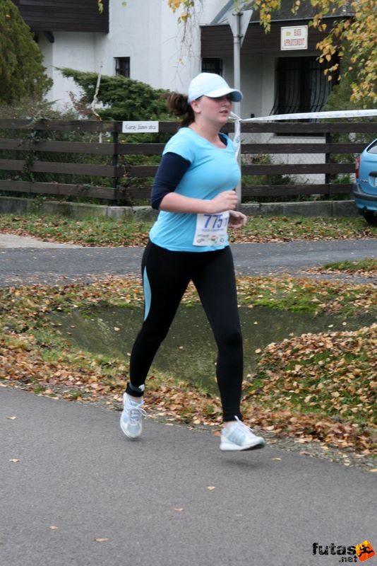 Balaton Félmaraton Balaton Maraton futóverseny, balaton_maraton_3522.jpg