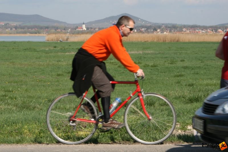 Tóparti Futóparti: Futók Agárd Gárdony Velence között, futas_4996.jpg