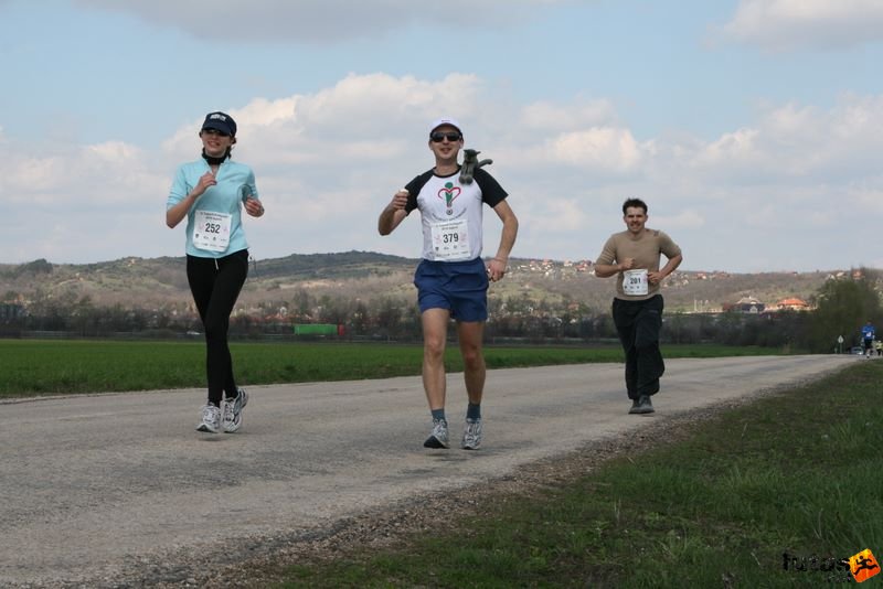Velencei-tó 2/3 Maraton Futás, macskás futó