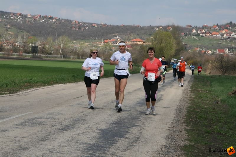 Velencei-tó 2/3 Maraton Futás, Szekeres Nyúl, Séra István,  Viniczai Andrea