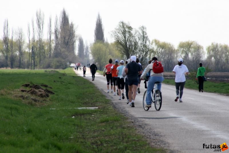Velencei-tó 2/3 Maraton Futás, futas_5941.jpg