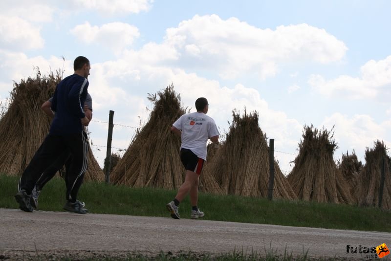 Tóparti Futóparti futók, futás a nádas mellett
