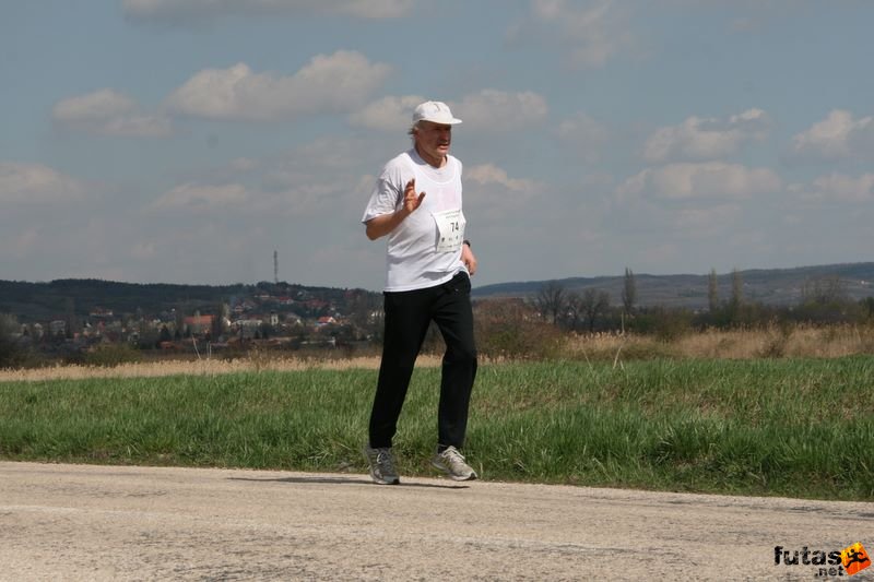 Tóparti Futóparti futók, Palotai Gábor