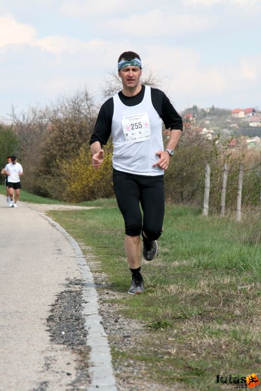 Tóparti Futóparti, futás a Velencei-tó körül Pákozd és Agárd  között, futas_5342.jpg