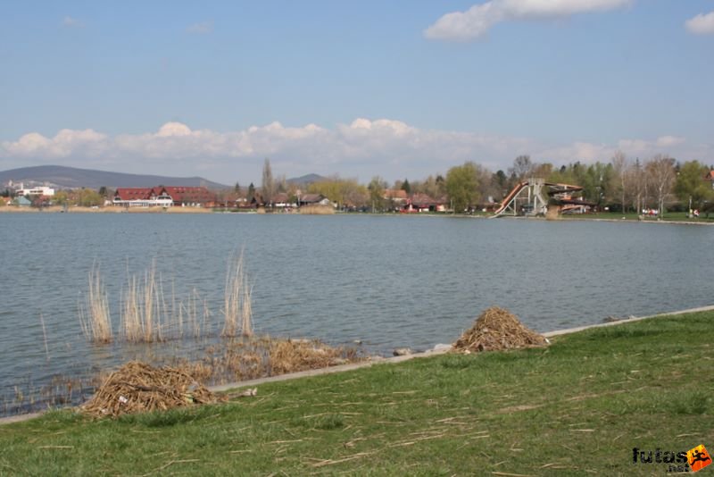Tóparti Futóparti futó képek Velence Sukoró Pákozd, futas_5158.jpg