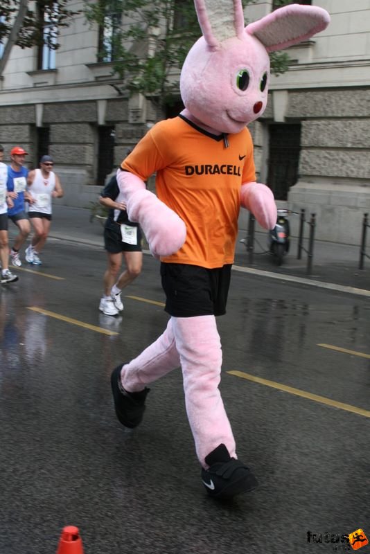 Budapest Half Marathon, Duracell Nyuszi Nike félmaraton reklám nyuszi
