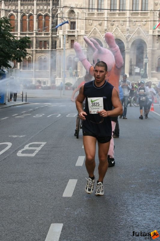 Budapest Half Marathon, Szűcs Gyula